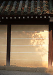 日式风格建筑摄影