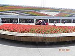 花卉