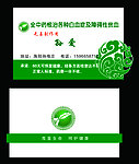 绿色名片
