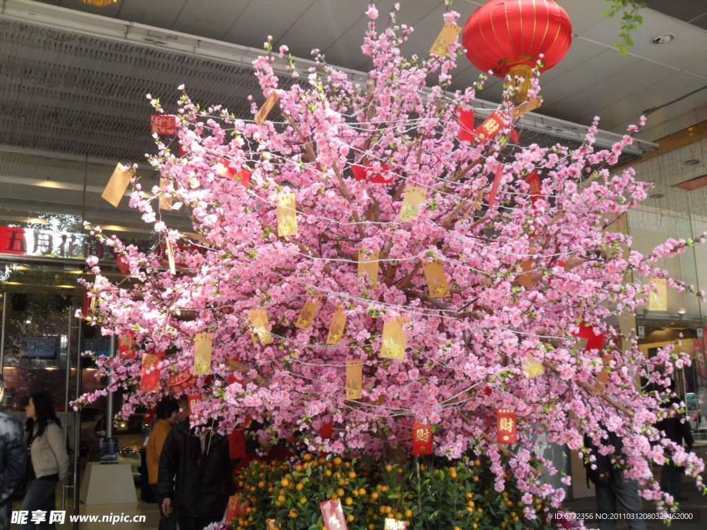 商场鲜花