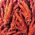 青龙凤爪