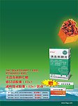 罗浮山 宣传单