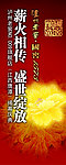 泸洲老窖