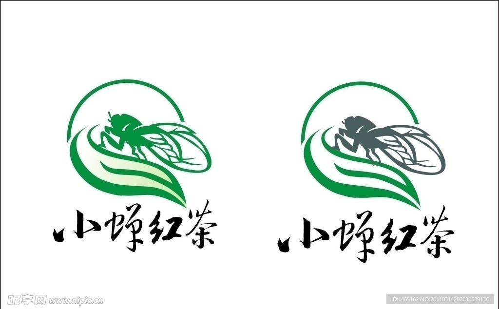 小蝉红茶标志设计