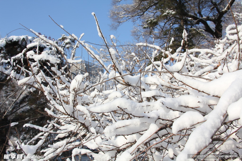 雪景