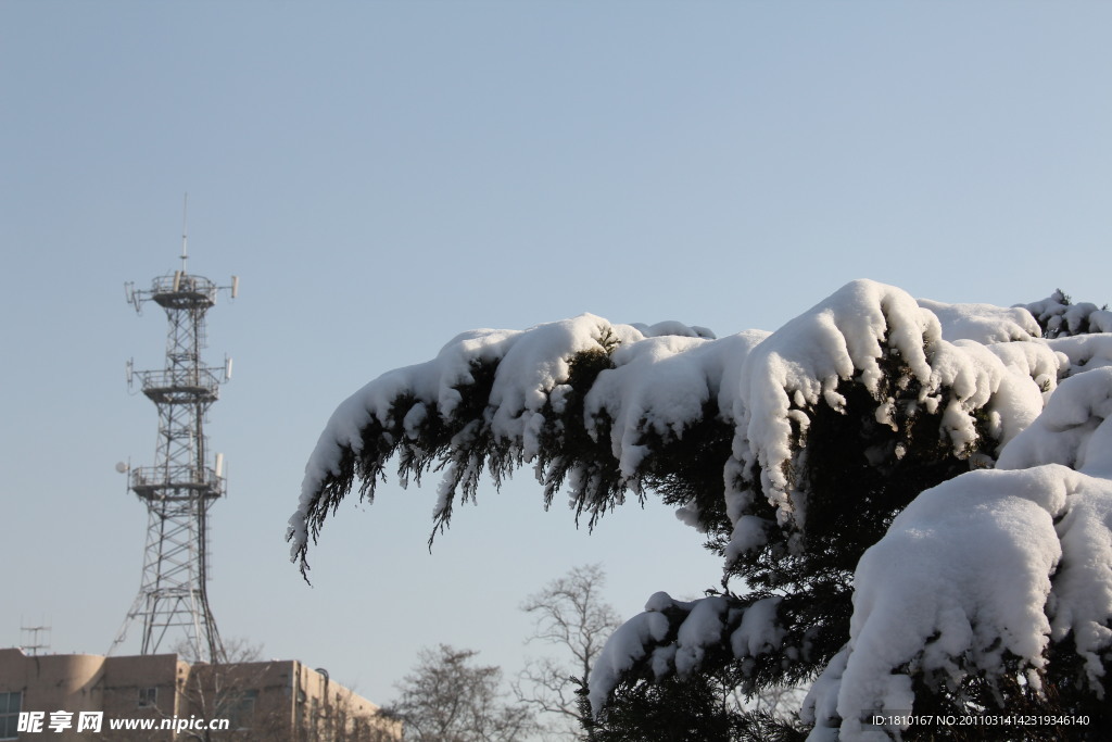 雪与塔