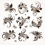 古典花纹花边装饰设计矢量