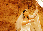 婚纱样板