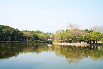 洪湖公园一景