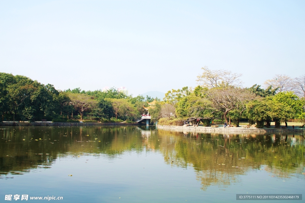 洪湖公园一景