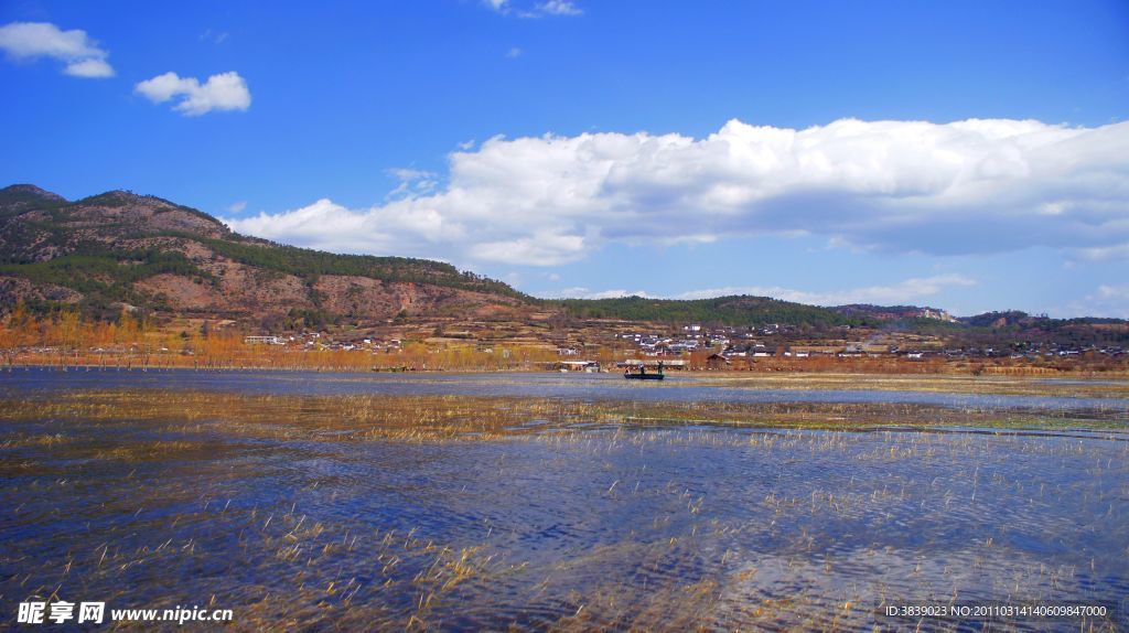 拉市海湿地