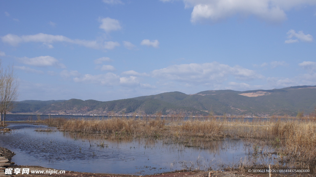 拉市海湿地