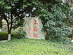 上海林