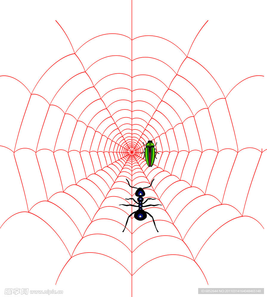 蜘蛛网绘制