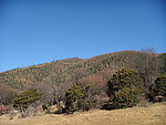 蓝天