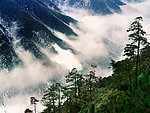武夷山云雾