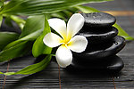 美容禅石鲜花绿叶