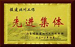 先进集体奖牌