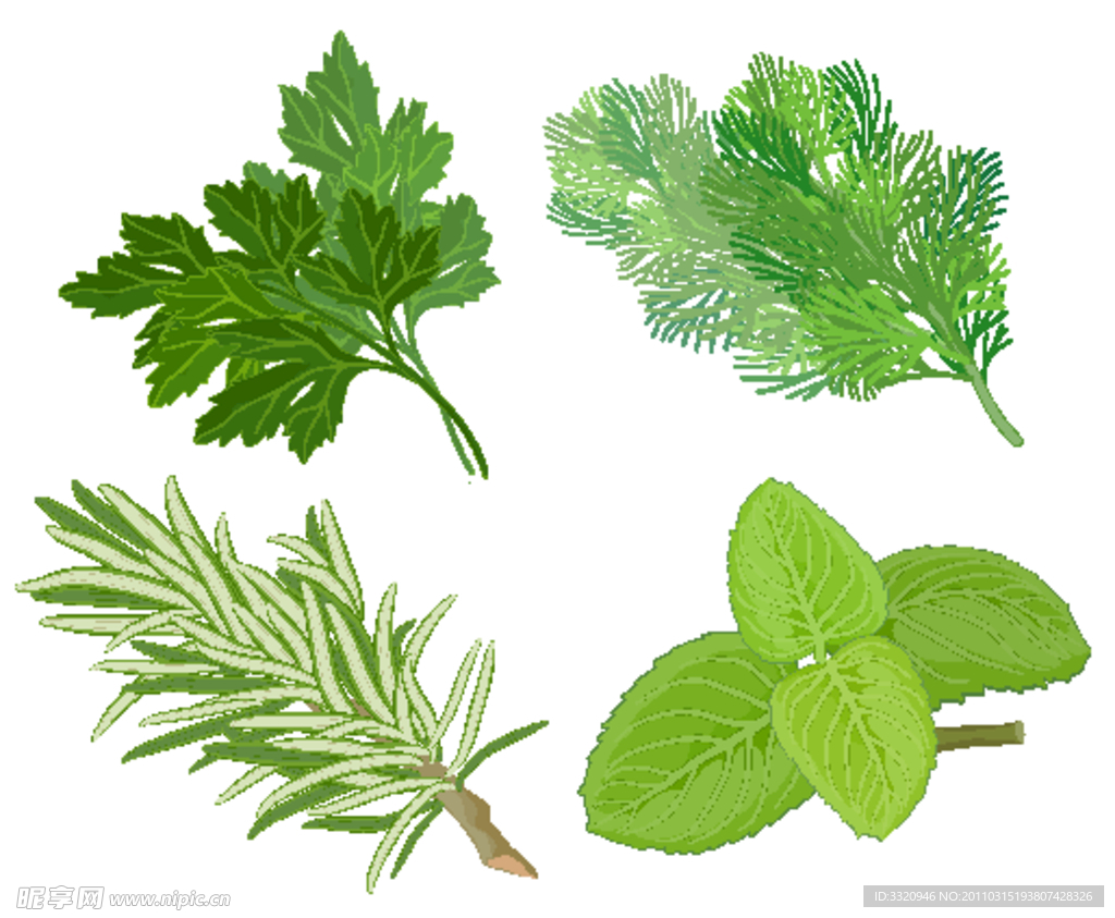 绿色草药矢量素材