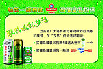 青岛啤酒