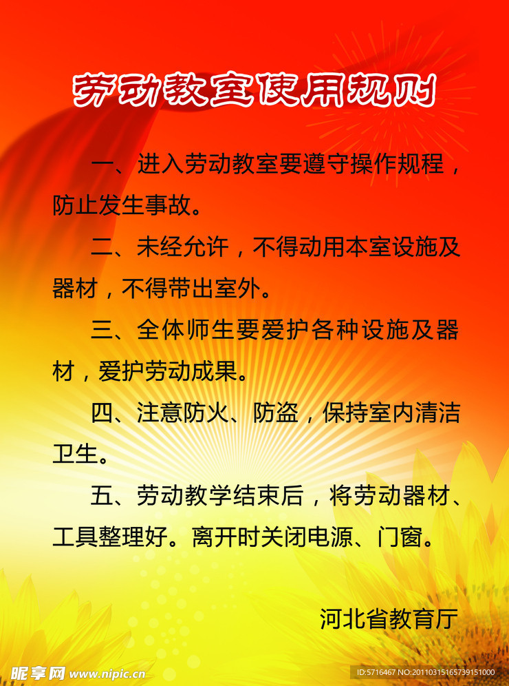 校园展板