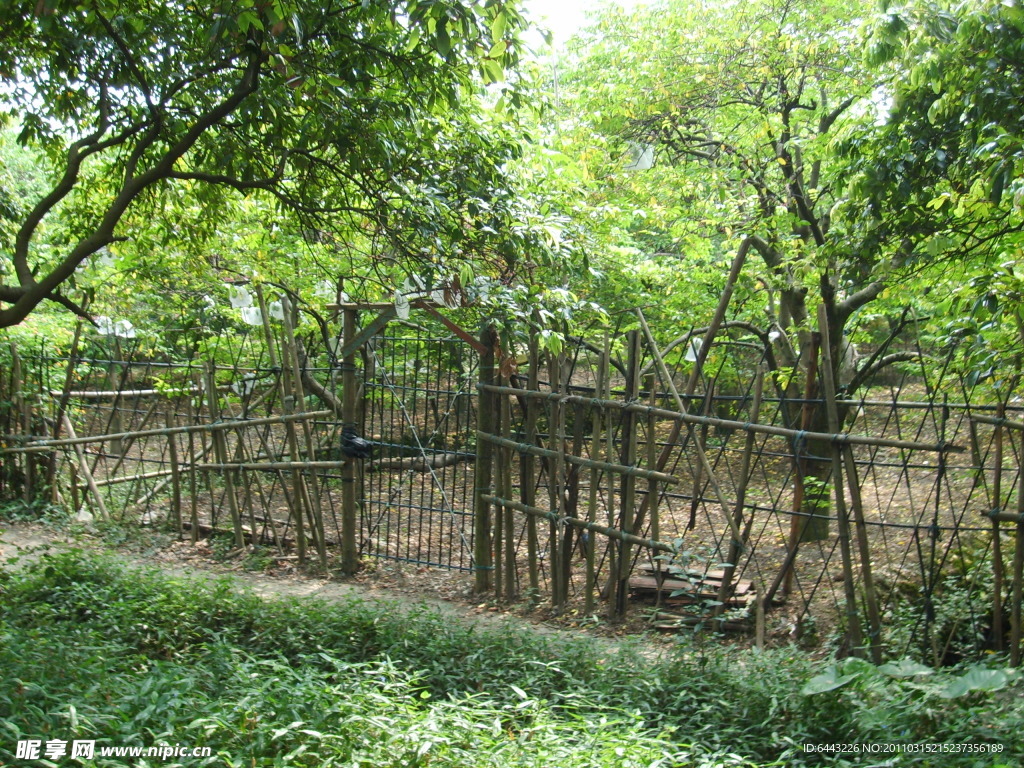 石基村
