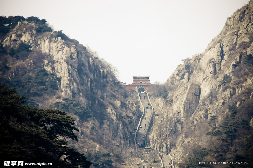 泰山