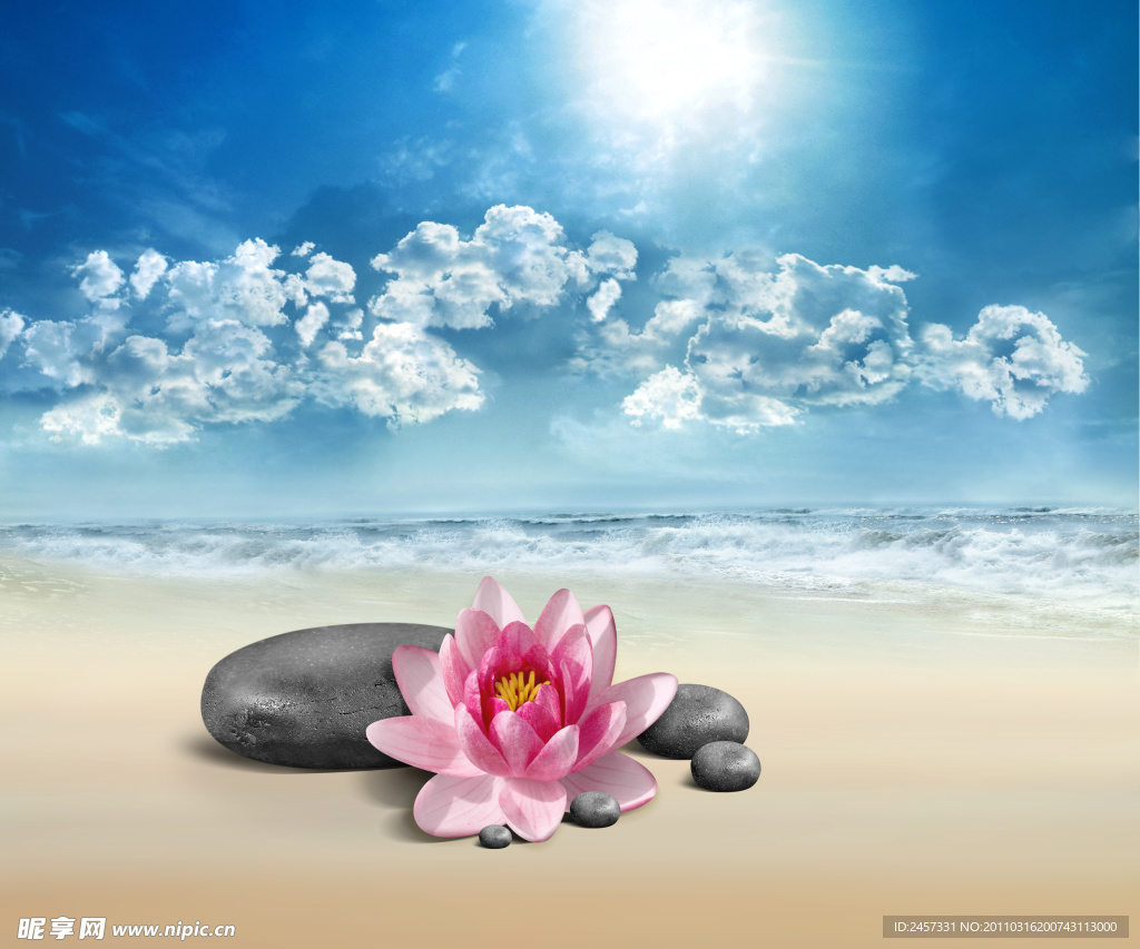 美容禅石鲜花