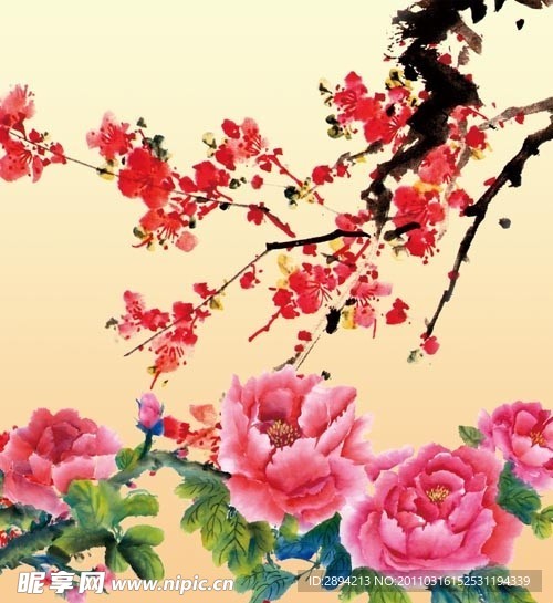 牡丹 梅花