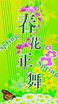 春花正舞