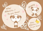 小熊猫