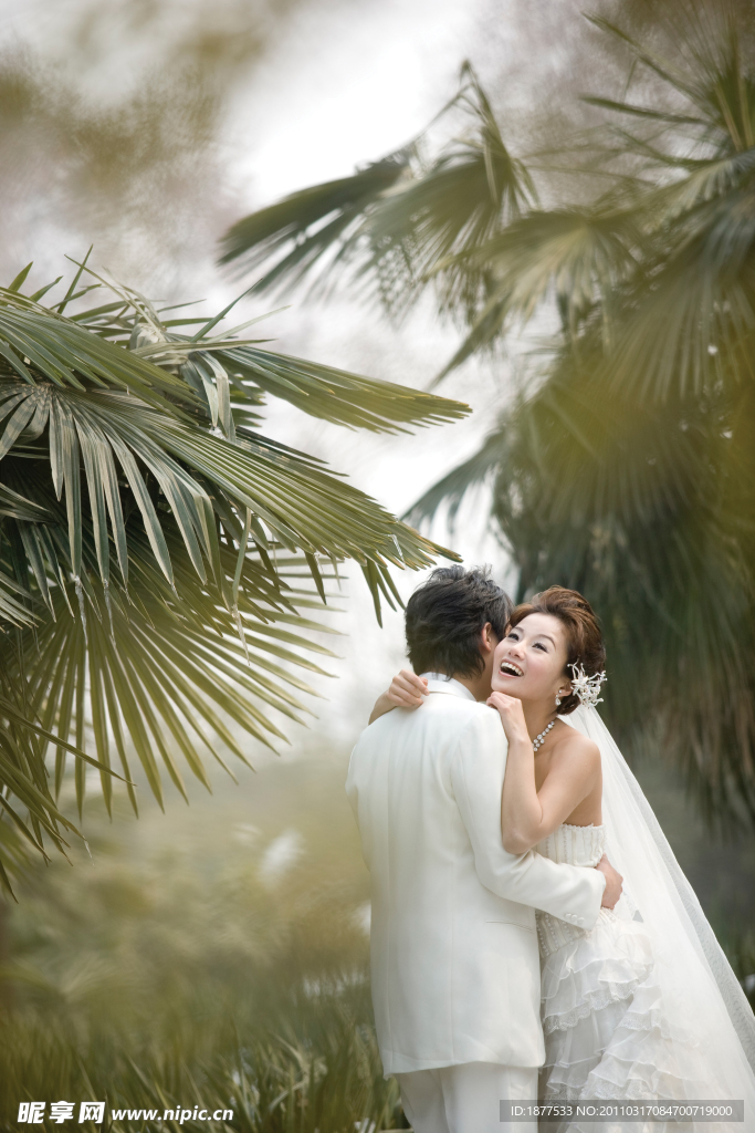 唯美婚纱摄影