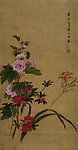 蜀葵萱花图