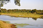 室外风景