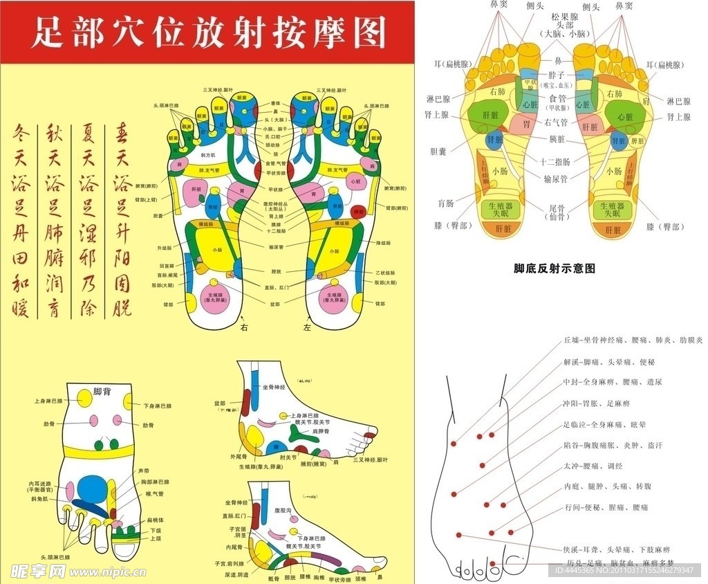 足部穴位