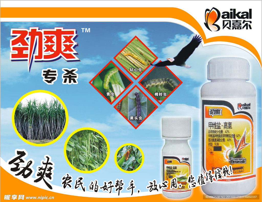 劲爽广告 海报
