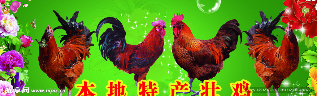 本地特产壮鸡