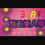 魅力女人季 妇女节 紫菊花3 8