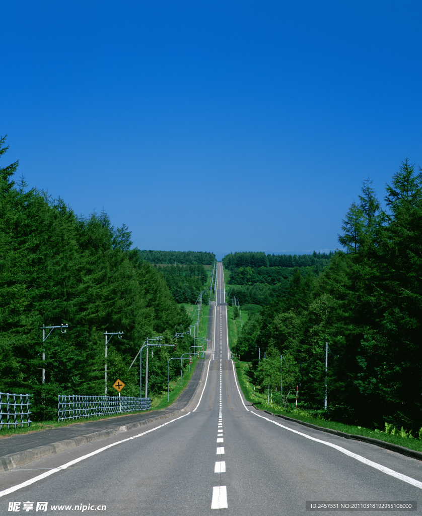 景区笔直公路