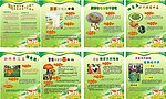 食品安全 生活小常识展板