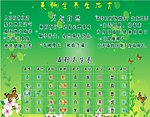美容养生