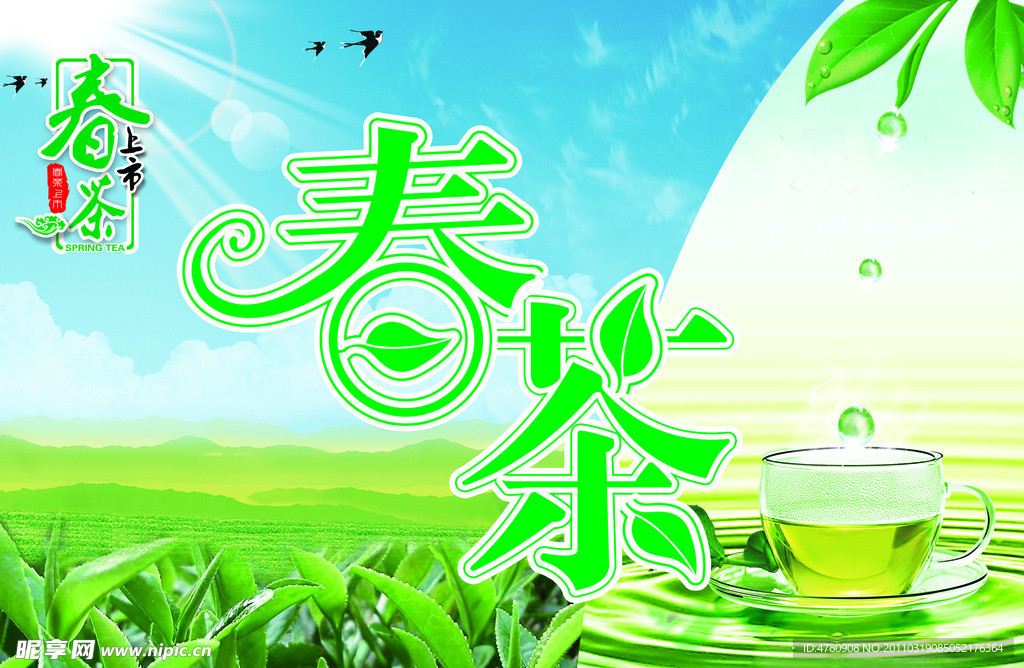 春茶 春茶上市