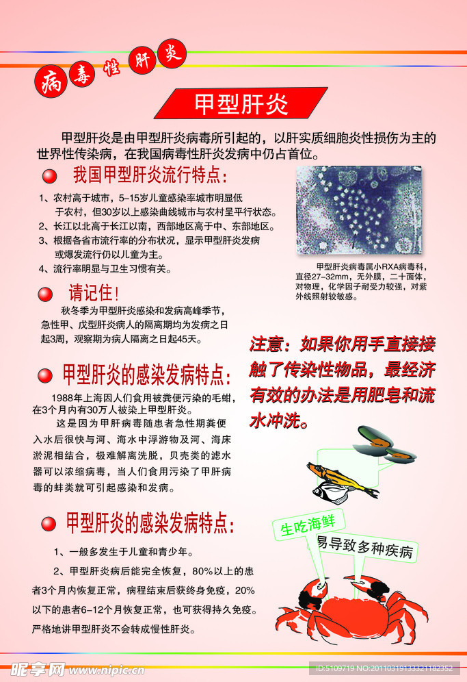 甲型肝炎