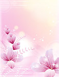 节节花