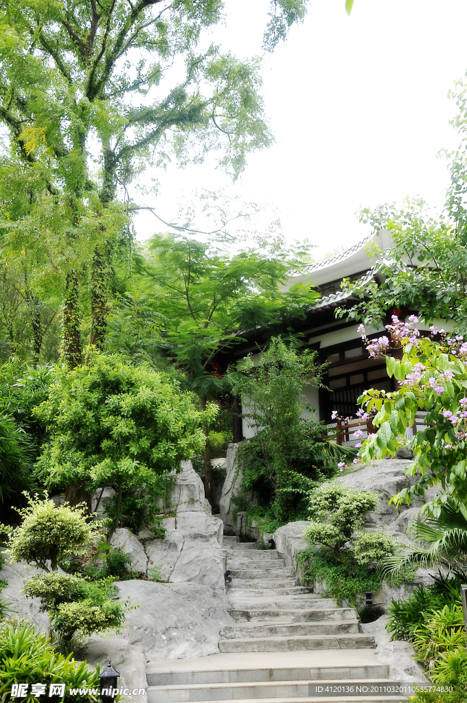 森林步道
