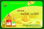 嘉津茶油广告