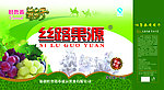 吐鲁番葡萄干礼盒设计
