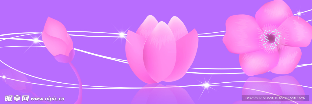 花卉装饰画