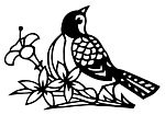 剪纸 鸟