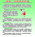 妊娠知识展板
